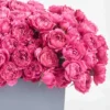Julieta Cerise JUNE 16 2023 Julieta Cerise JUNE 16 2023