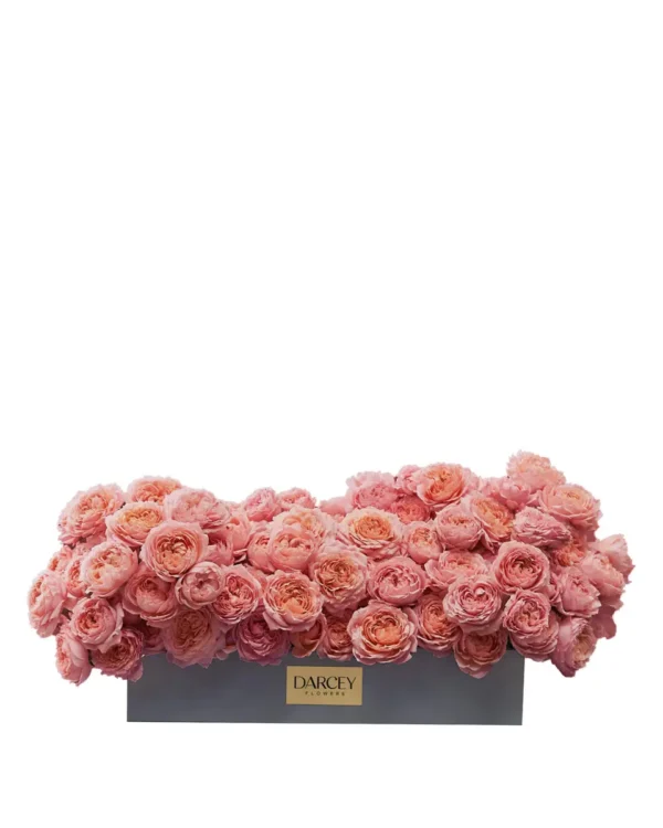 Julieta Salmon Blooms Medium noMoon