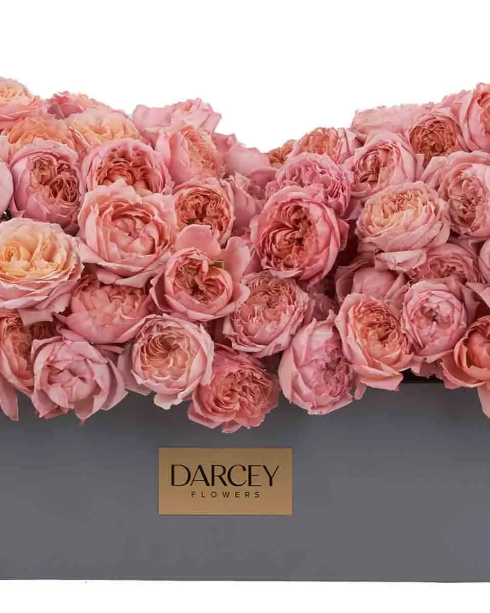 Julieta Salmon Blooms large FINAL JUNE 21 2023 2 Julieta Salmon Blooms large FINAL JUNE 21 2023 2