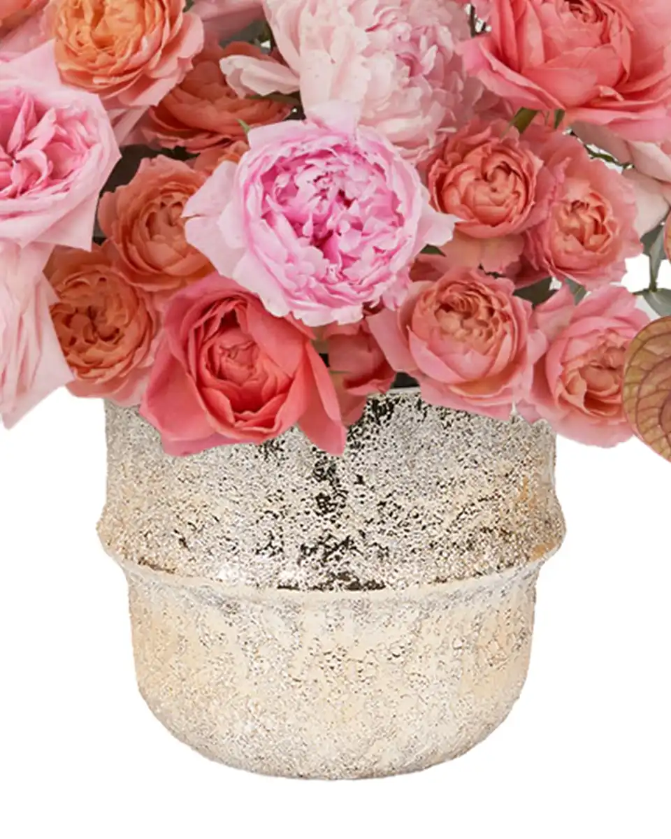 Just Beautiful! May 16, 2025 2