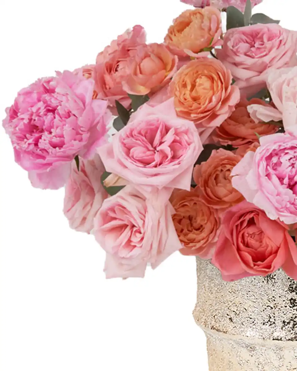 Just Beautiful! May 16, 2025 3