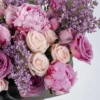 LILAC ROMANCE IMPRESSIVE  2