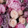 LILAC ROMANCE IMPRESSIVE  3