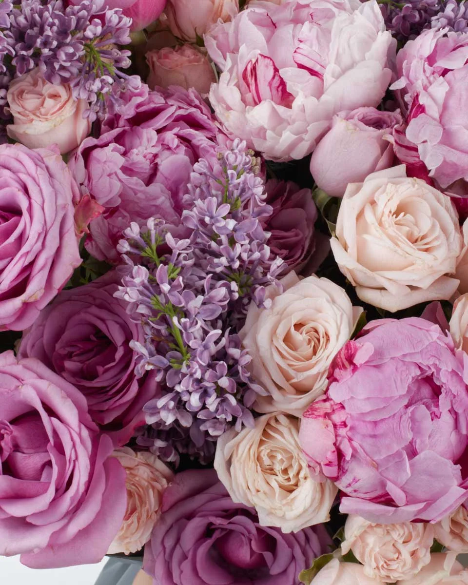 LILAC ROMANCE SUPERB 3 LILAC ROMANCE SUPERB 3
