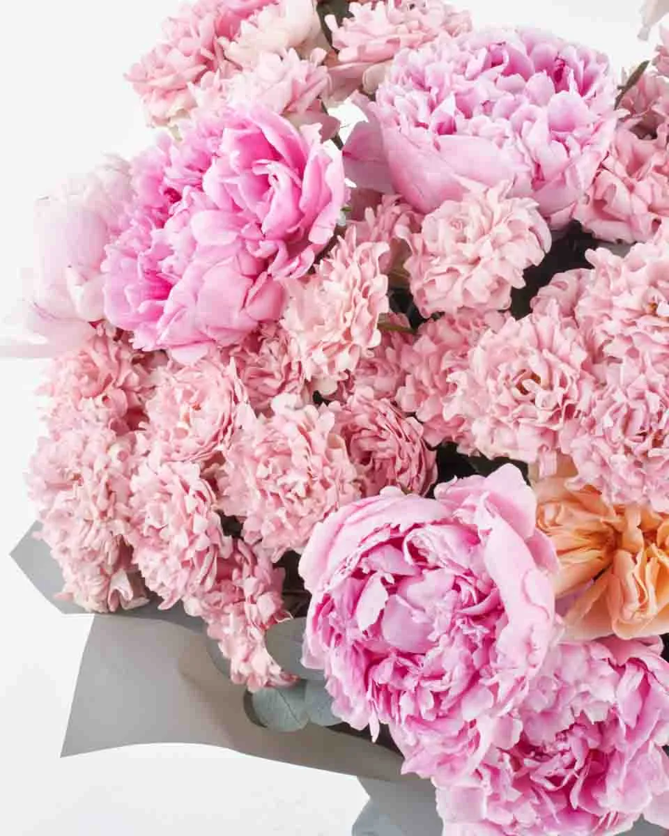 LOVE AND AFFECTION SUPERB JUNE 8 2023 2 LOVE AND AFFECTION SUPERB JUNE 8 2023 2