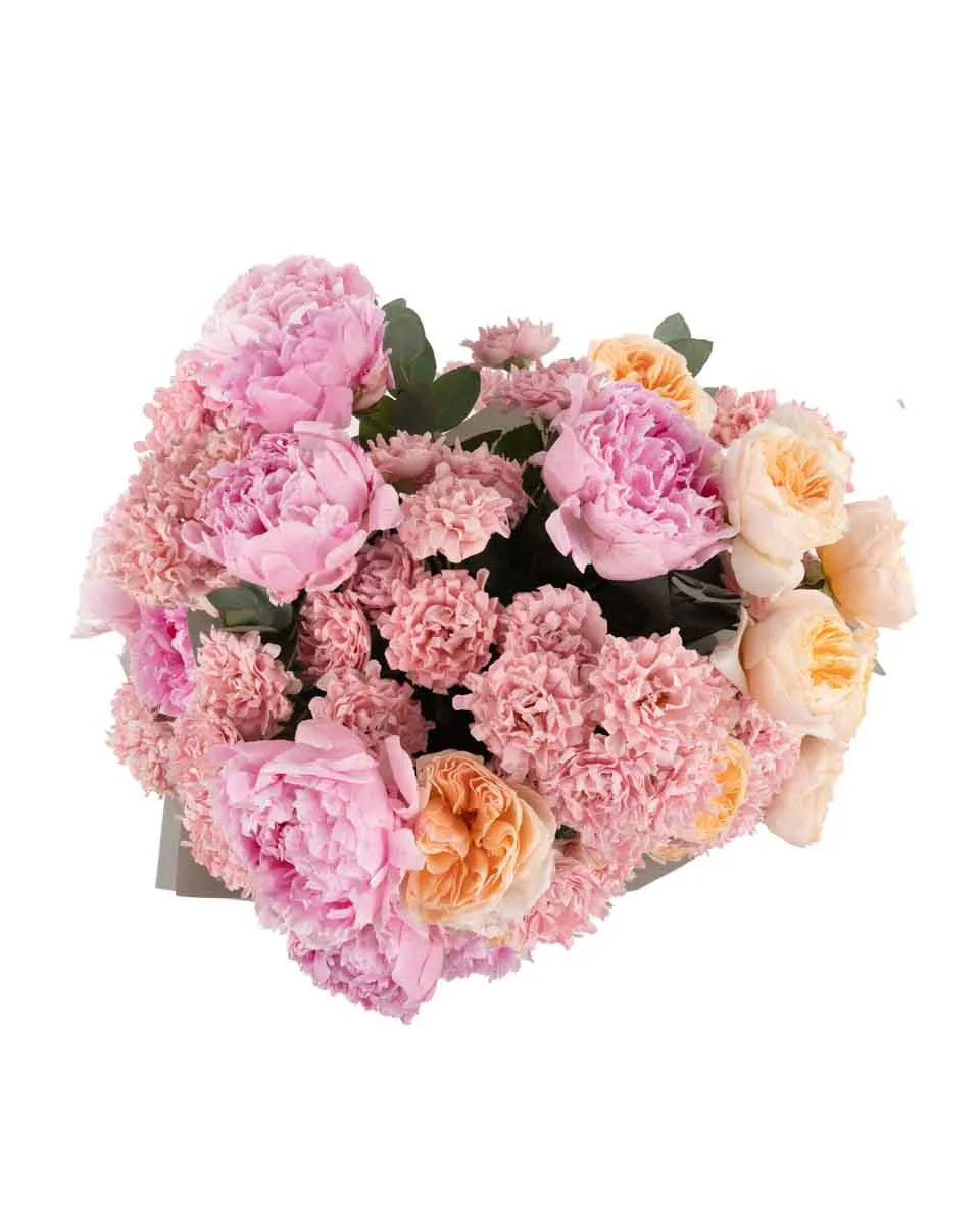 LOVE AND AFFECTION SUPERB JUNE 8 2023 top LOVE AND AFFECTION SUPERB JUNE 8 2023 top