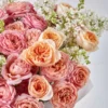 LOVE JULIET SUPERB 1 LOVE JULIET SUPERB 1