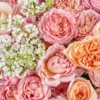 LOVE JULIET SUPERB 3 LOVE JULIET SUPERB 3