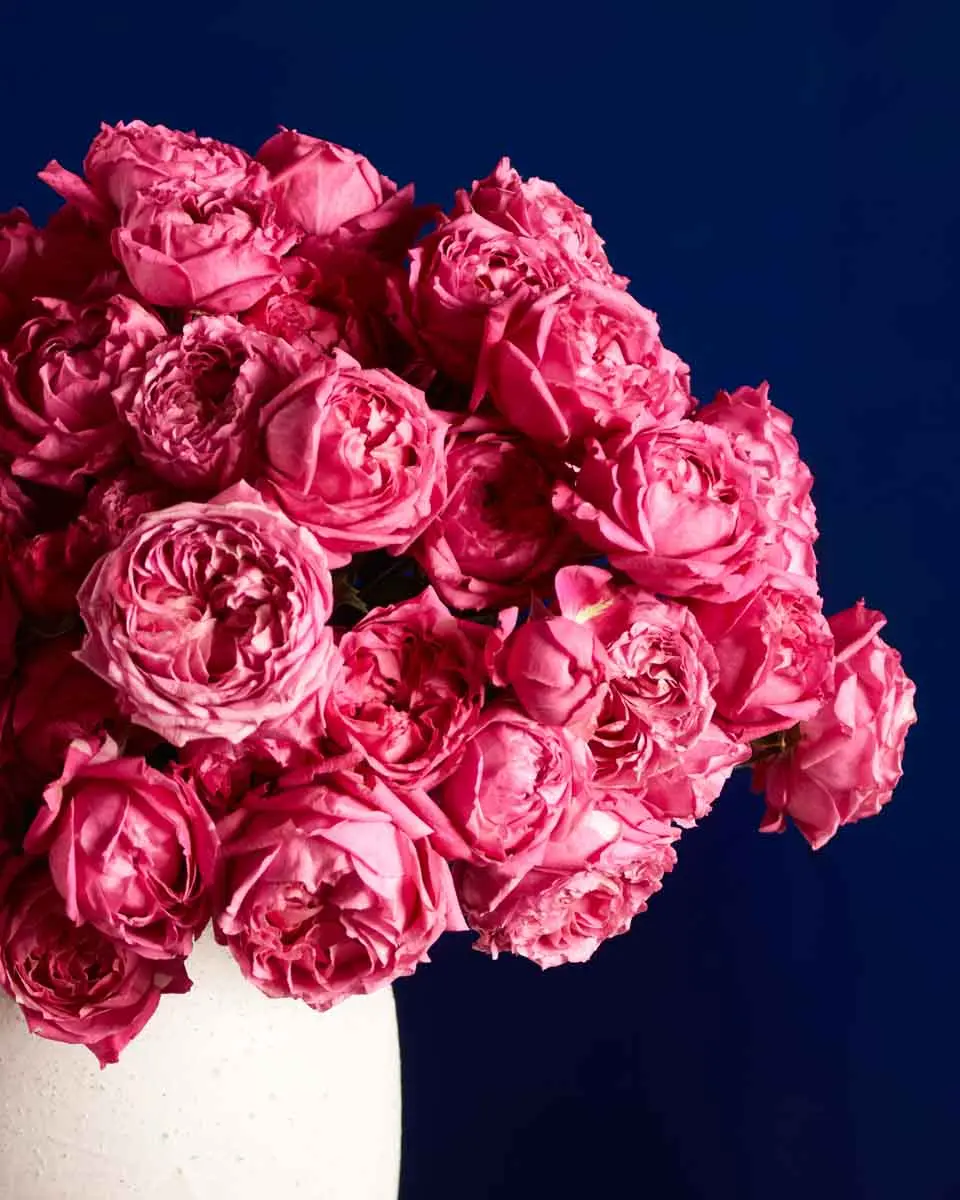 LOVE ME JULIETA CERISE WHITE AND GREEN VASE 2 LOVE ME JULIETA CERISE WHITE AND GREEN VASE 2