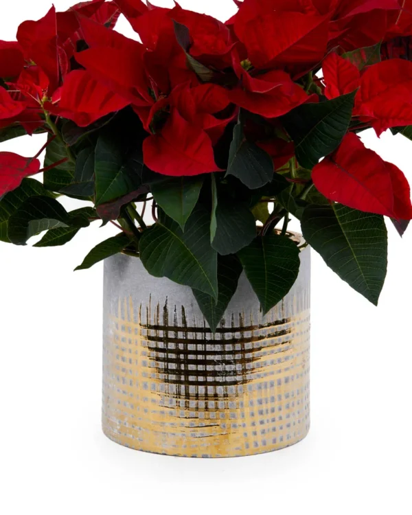 Last ChristmasNEW PRODUCT8  NEW VASE ARRANGEMENT VASE