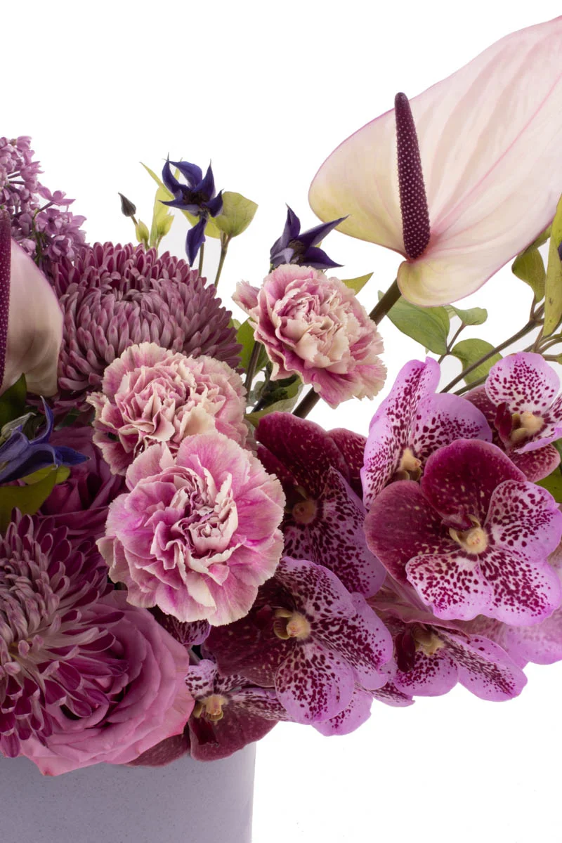 Lilac in LoveVASE 3 Lilac in LoveVASE 3