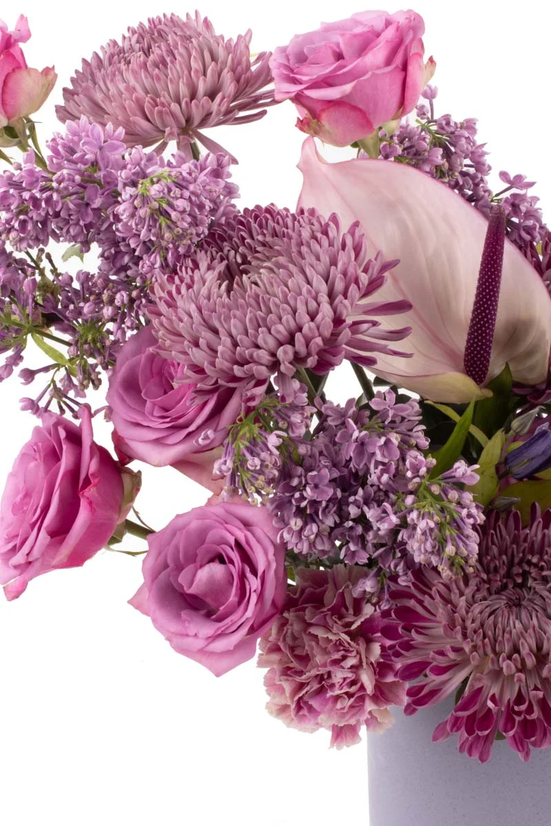 Lilac in LoveVASE 3 2 Lilac in LoveVASE 3 2