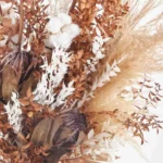 Lovely Forever JUNE 23 2023 1