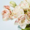 Lovely NymphJBF VASE 8 Lovely NymphJBF VASE 8
