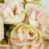 Lovely NymphJBF VASE 8 3 copy Lovely NymphJBF VASE 8 3 copy