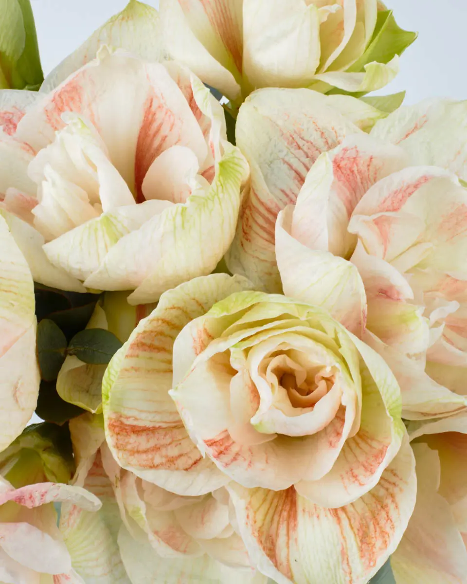 Lovely NymphJBF VASE 8 3 copy Lovely NymphJBF VASE 8 3 copy