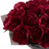 MADELAINE LEFT DETAILS SUPERB MADELAINE LEFT DETAILS SUPERB