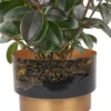 MELANIE 2025 vase MELANIE 2025 vase