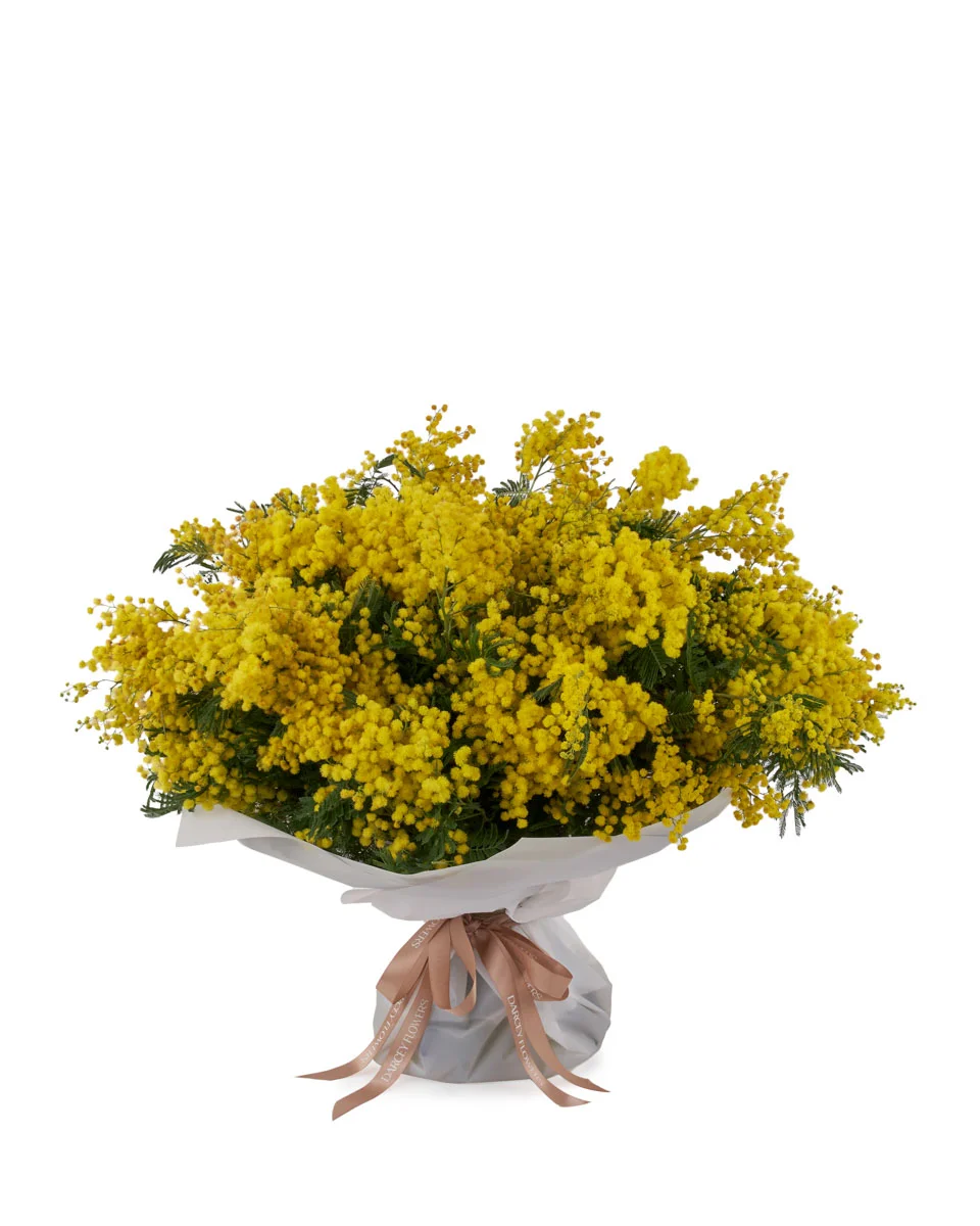 MIMOSA GRANDE FRONT ONE SIZE MIMOSA GRANDE FRONT ONE SIZE