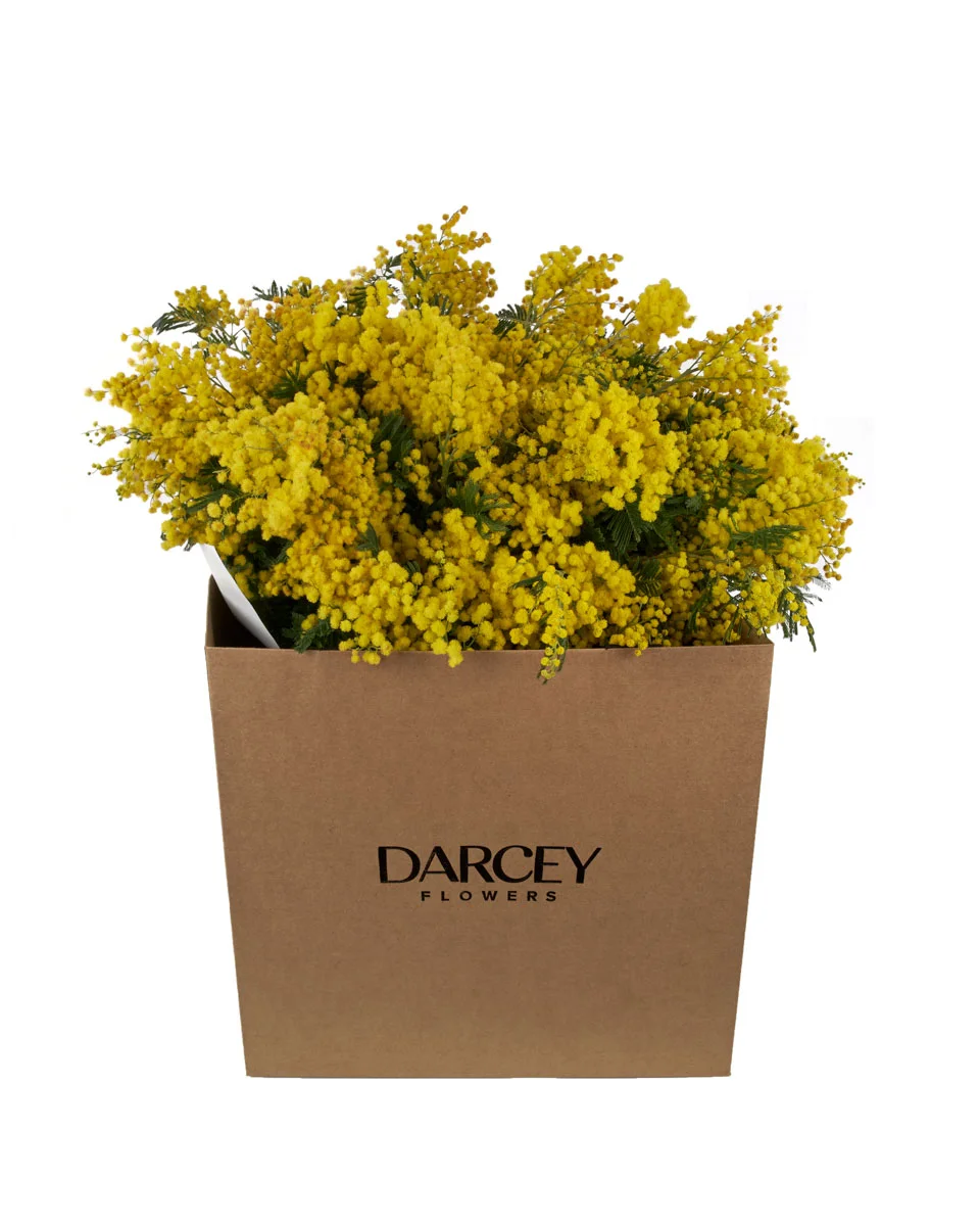 MIMOSA GRANDE PAPER BAG ONE SIZE MIMOSA GRANDE PAPER BAG ONE SIZE