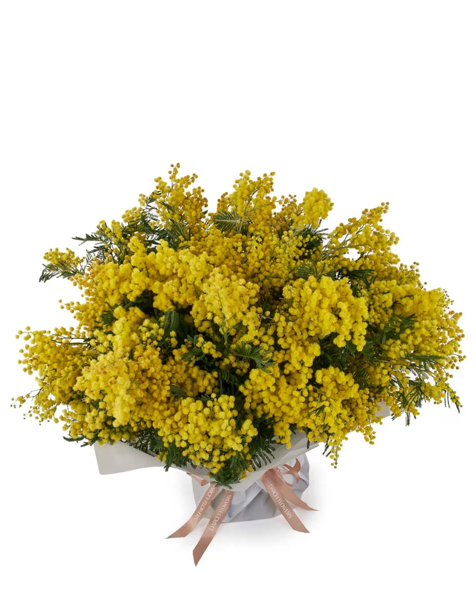MIMOSA GRANDE TOP MAIN ONE SIZE MIMOSA GRANDE TOP MAIN ONE SIZE