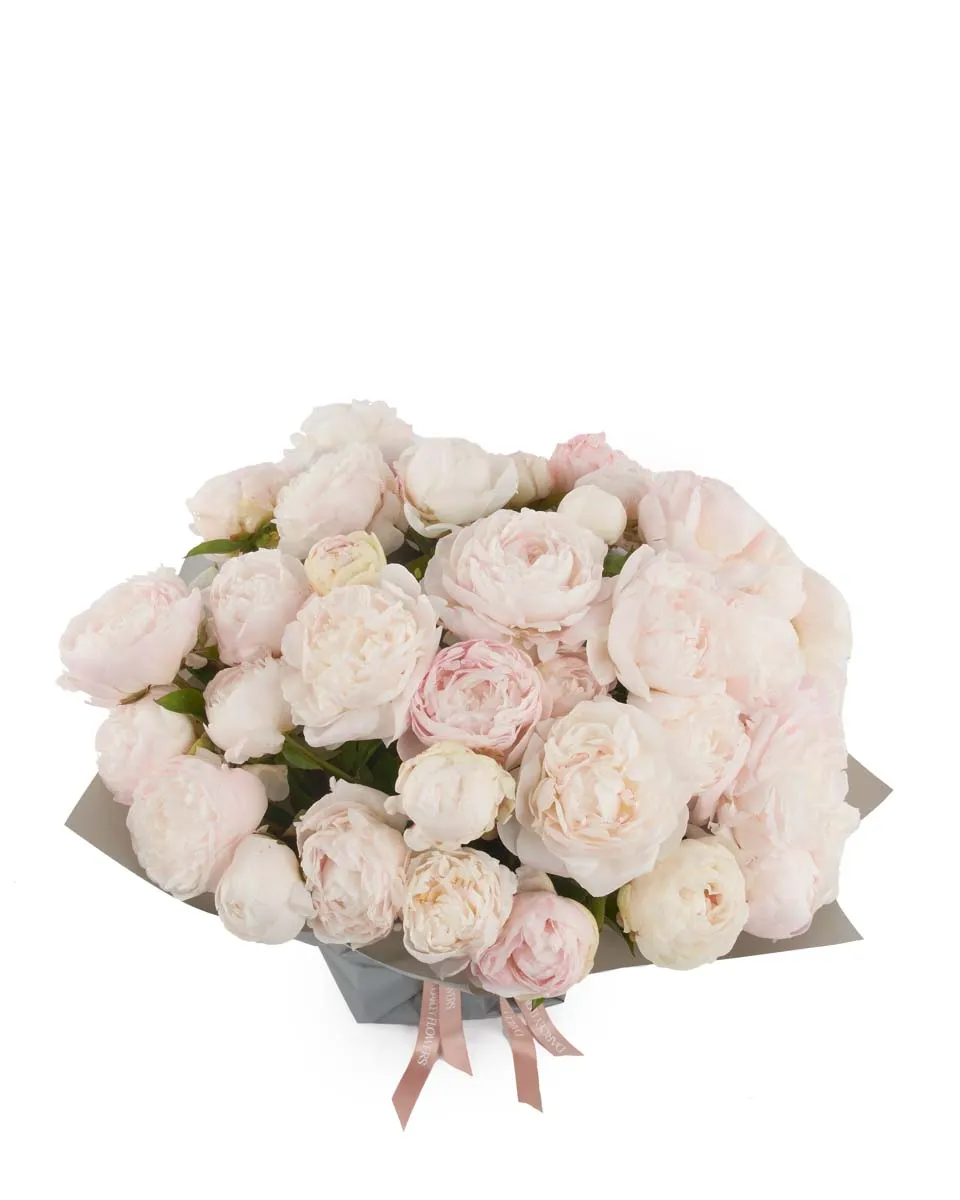 MOTHERS CHOICE SUPERB JUNE 8 2023 MOTHERS CHOICE SUPERB JUNE 8 2023