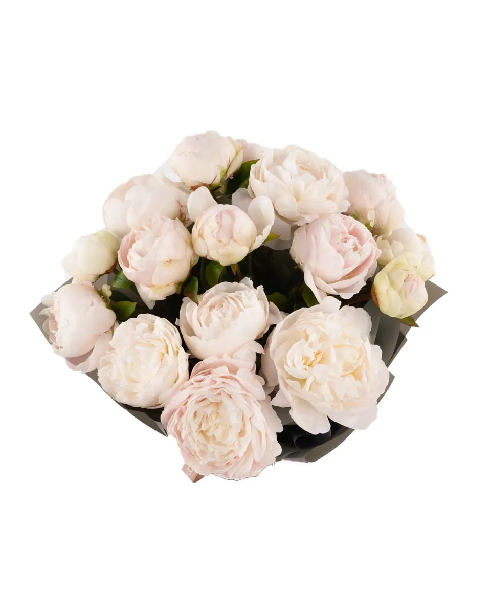 MOTHER S CHOICE IMPRESSIVE JUNE 7 2023 top MOTHER S CHOICE IMPRESSIVE JUNE 7 2023 top