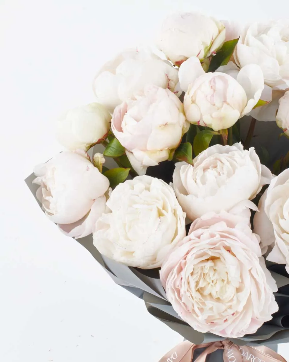 MOTHER S CHOICE IMPRESSIVE JUNE 7 2023 MOTHER S CHOICE IMPRESSIVE JUNE 7 2023