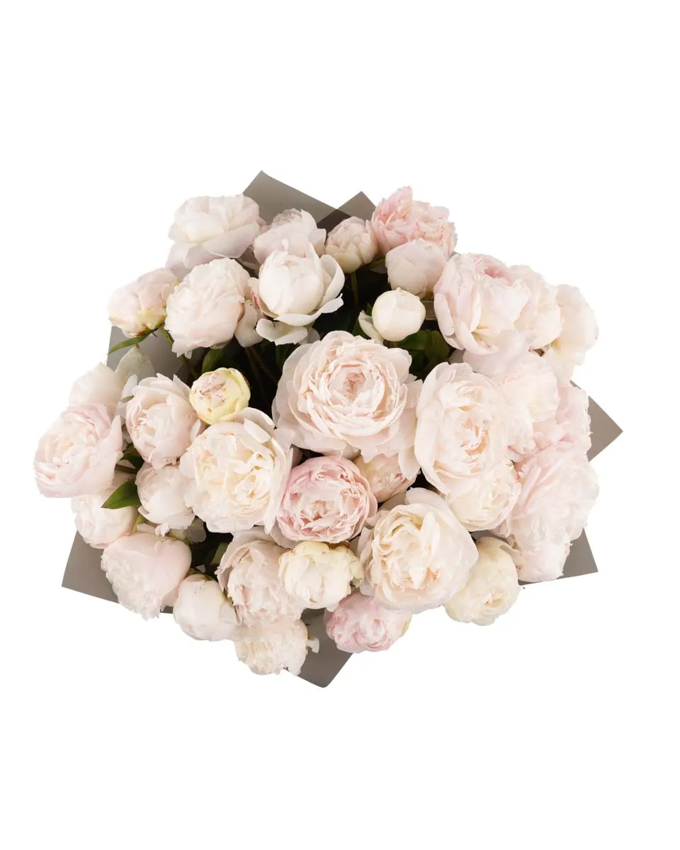 MOTHER S CHOICE SUPERB JUNE 8 2023 top MOTHER S CHOICE SUPERB JUNE 8 2023 top