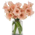 MY RILONA JBF VASE 2