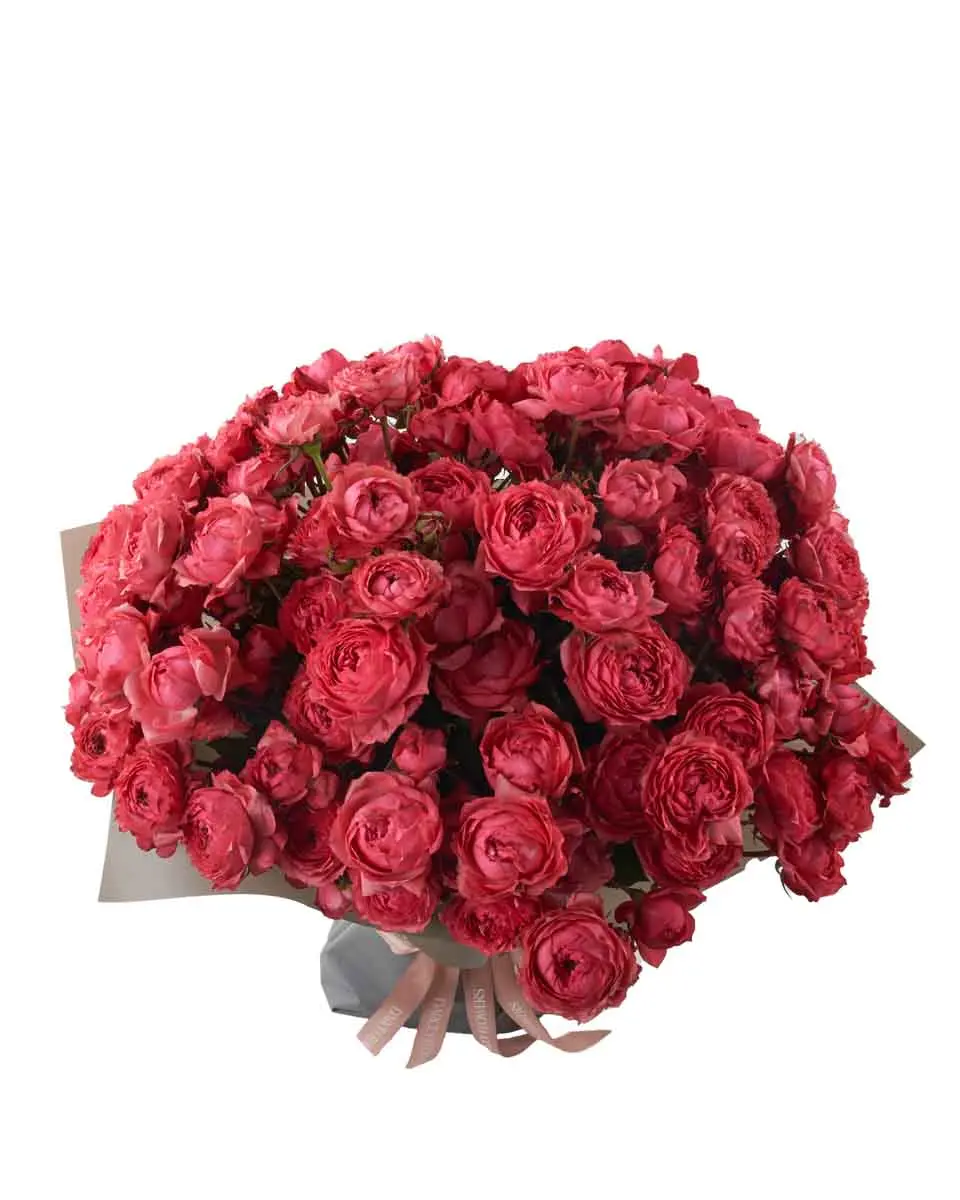 MY SWEET RASBERRY SUPERB JUNE 10, 2025 MY SWEET RASBERRY SUPERB JUNE 10, 2025