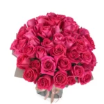 Madame Cerise superb JUNE 12 2023