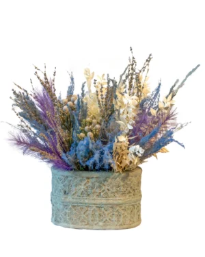 Make A Wish Re Shoot 2026