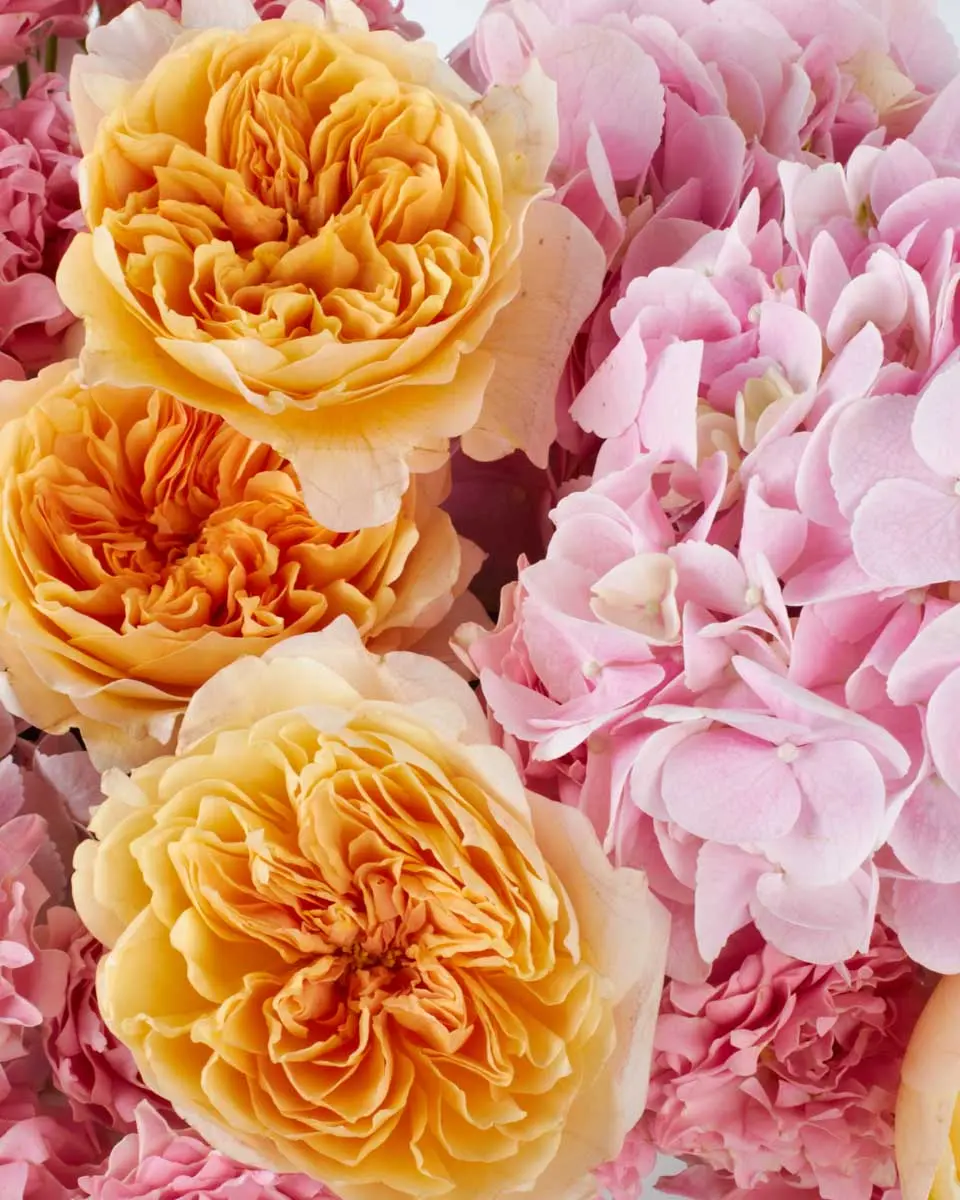 Make Her BlushBOQUET JBF 3 SUPERB 4