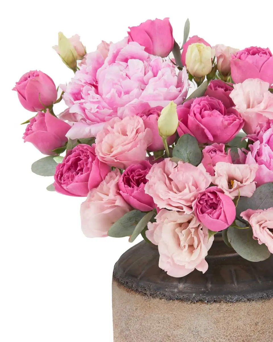 Minervas Beauty Details2 1 Minervas Beauty Details2 1