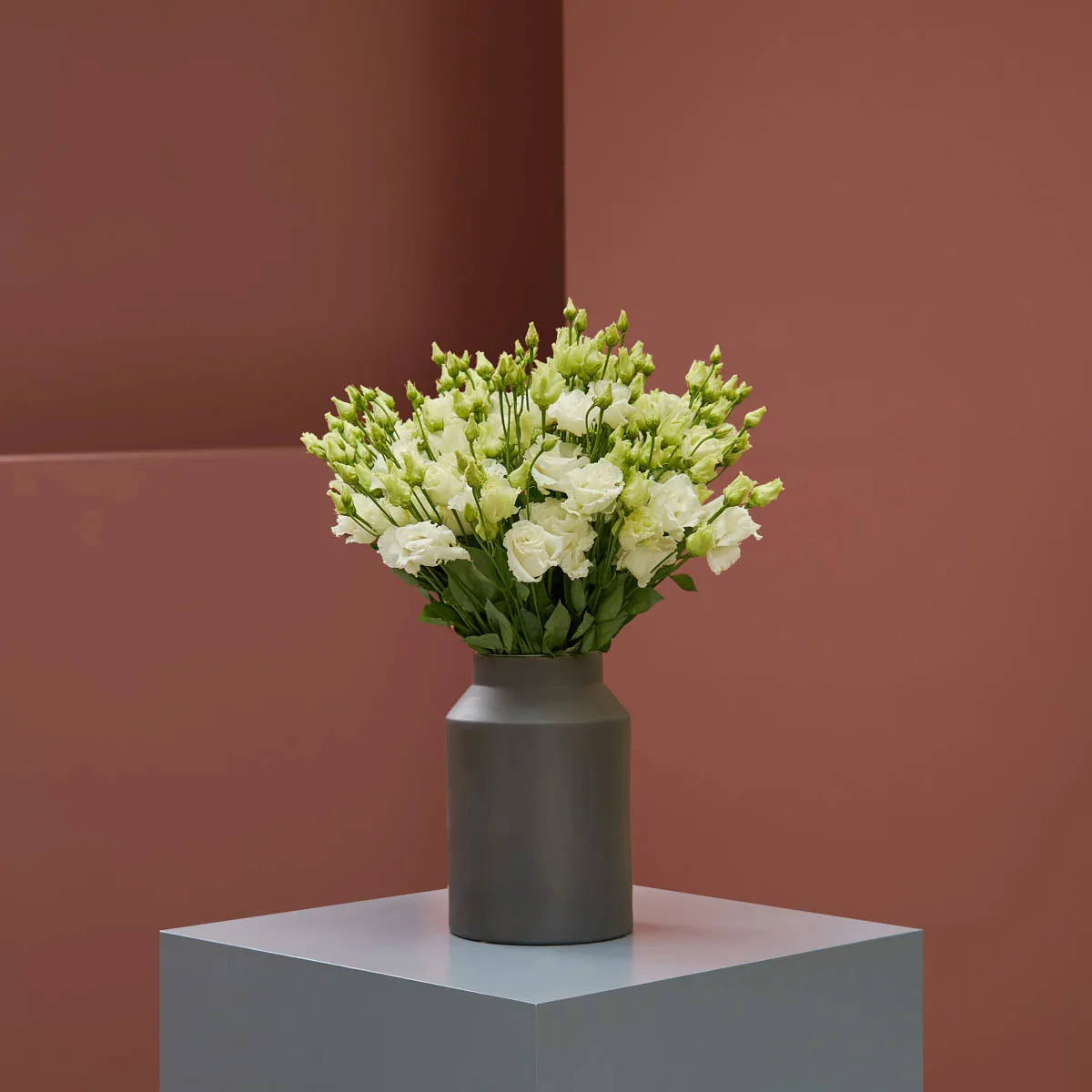 Oh Its Lisianthus Oh Its Lisianthus