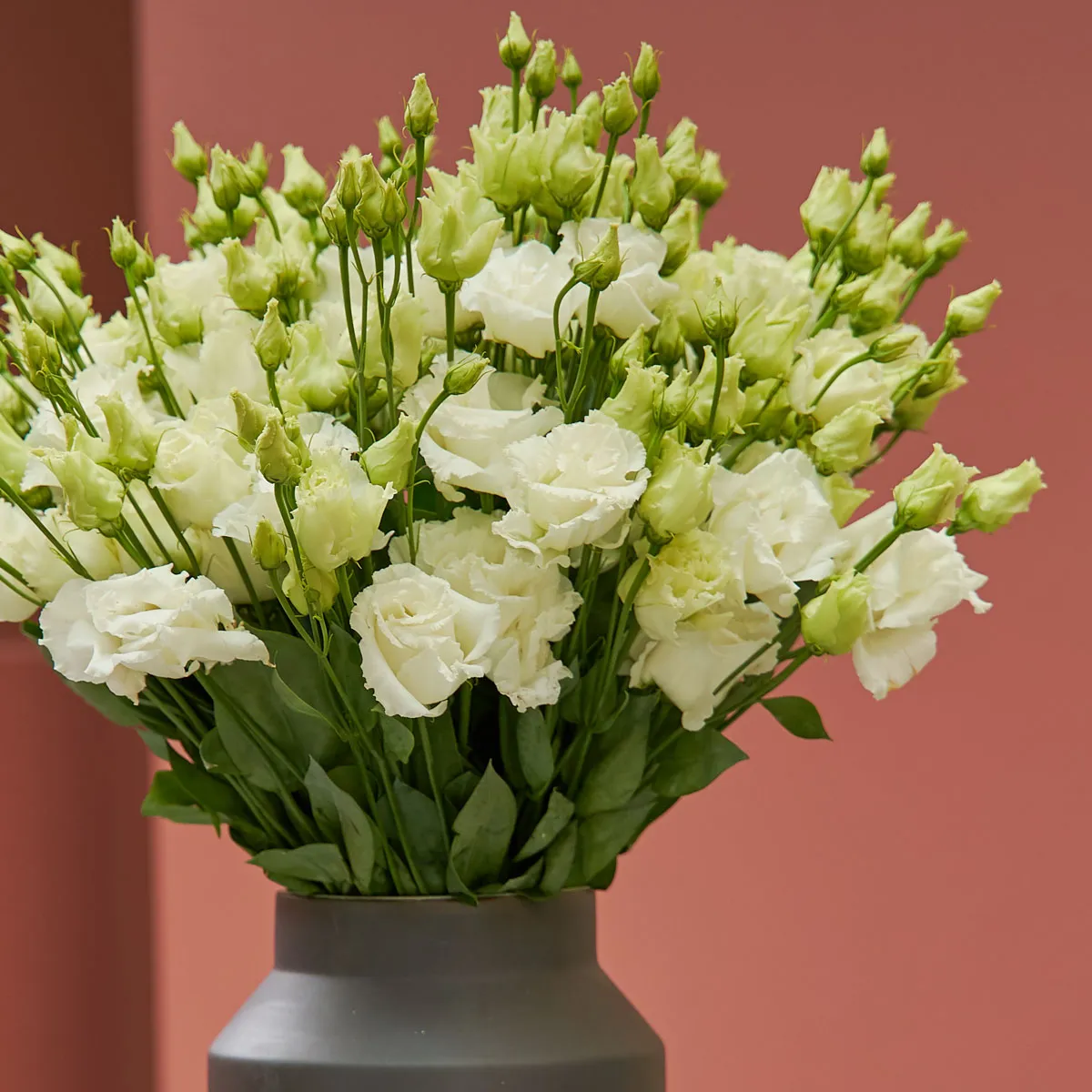 Oh its Lisianthus Detailed Oh its Lisianthus Detailed