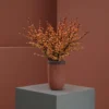 Orange Ilex 1