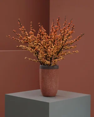 Orange Ilex 1