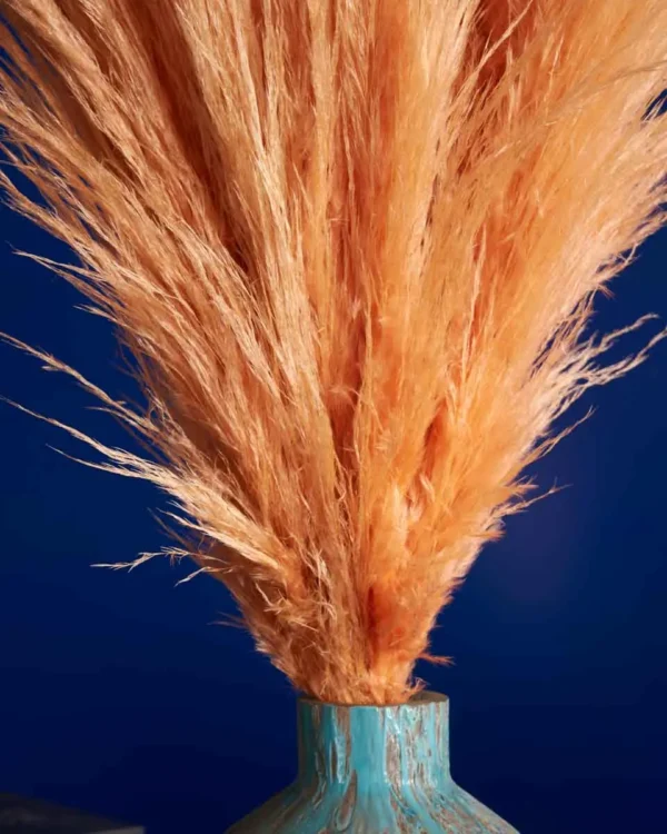 PAMPAS SWAY 3