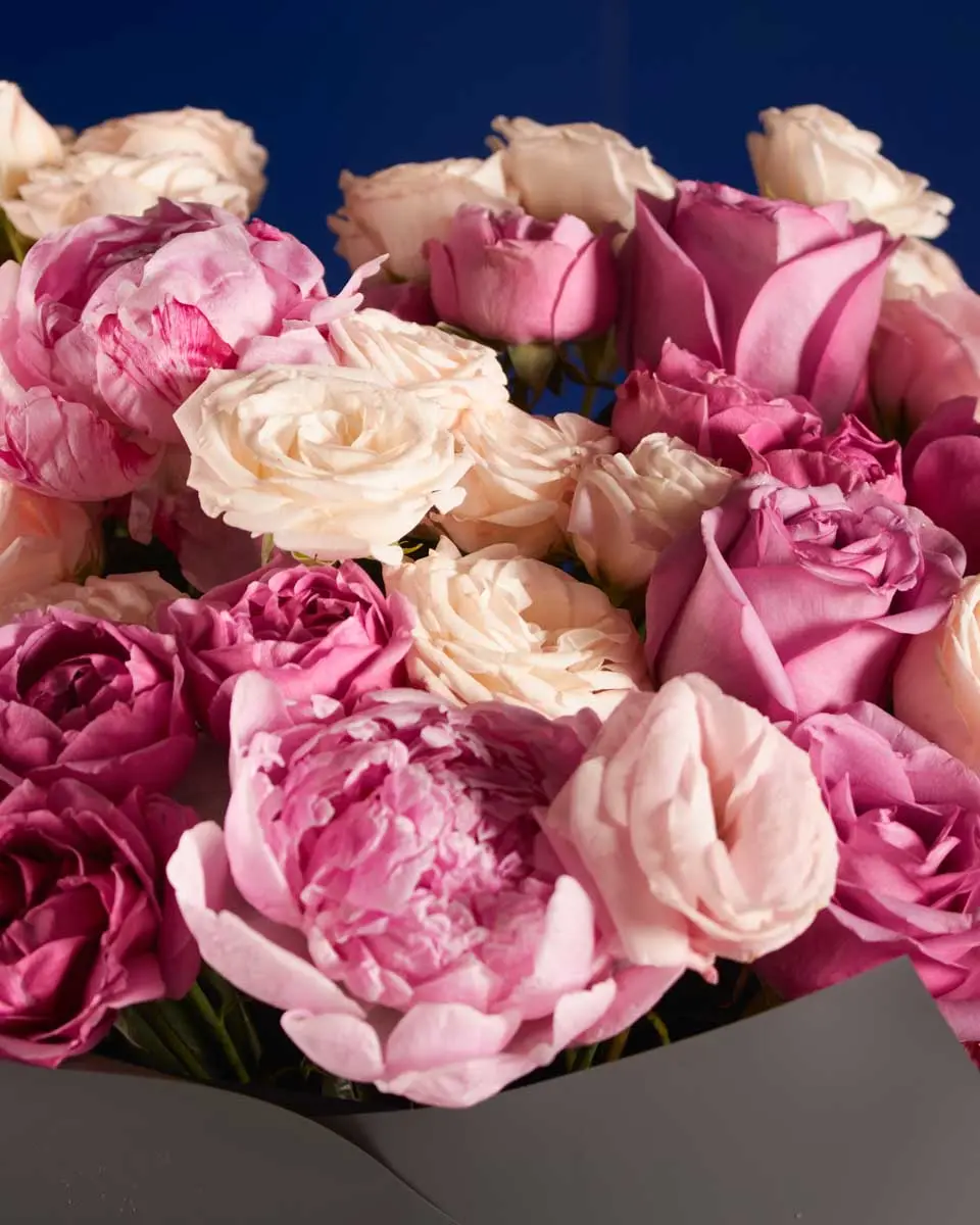 PASTEL MAGIC tweak design impressive 2 PASTEL MAGIC tweak design impressive 2