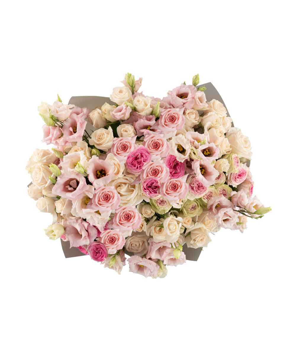 PENELOPE IMPRESSIVE JUNE 10 2023 top PENELOPE IMPRESSIVE JUNE 10 2023 top