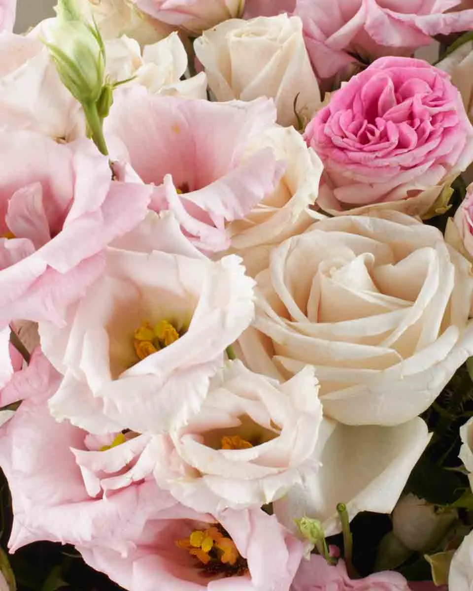 PENELOPE IMPRESSIVE JUNE 10 2023 2 PENELOPE IMPRESSIVE JUNE 10 2023 2