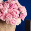 PEONY PERFECTION 2 PEONY PERFECTION 2