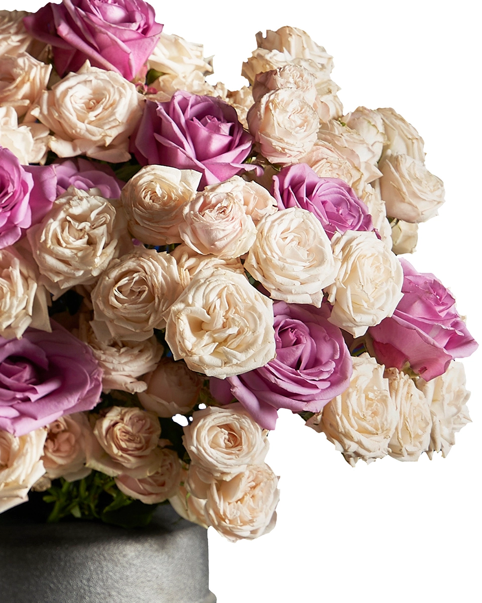 PERFECT TREAT Eidted 2025 details 2