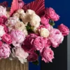 PINK AVALANCHE REMOVE VANDA PINK 1 2025 PINK AVALANCHE REMOVE VANDA PINK 1 2025