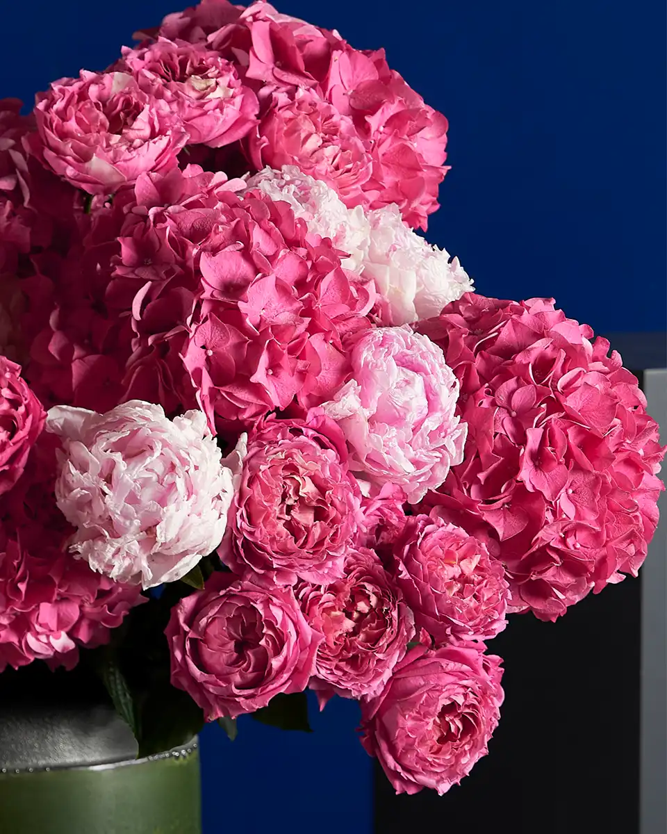 PINK DELIGHT 2 2025 PINK DELIGHT 2 2025