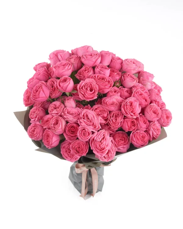 PINK GISELLE IMPRESIVE JUNE 7 2023