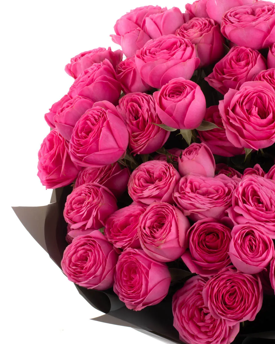 PINK GISELLE IMPRESIVE JUNE 7 2023 1