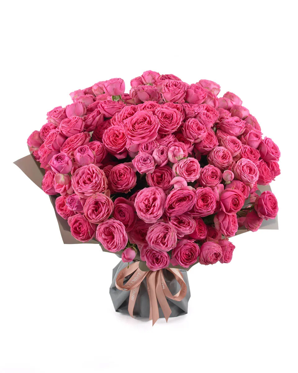 PINK GISELLE SUPERB JUNE 3 2023 9 PINK GISELLE SUPERB JUNE 3 2023 9